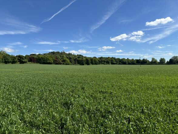 Land at The Holloway, Monks Risborough, Buckinghamshire